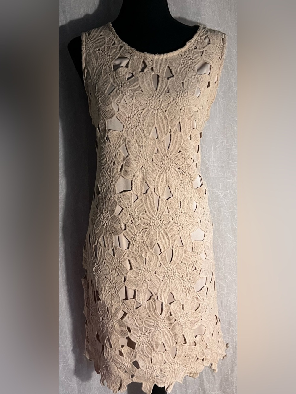Daisy Fuentes tan crochet lace Floral Mini Dress